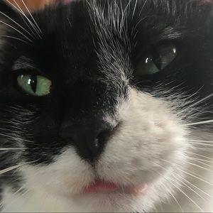 Meet your Posher, Jesse